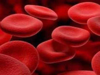 Hematolojiyle hangi bilim dalları ilgilenir?